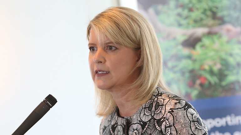 National Efforts To End Family Violence Could Draw From Victoria