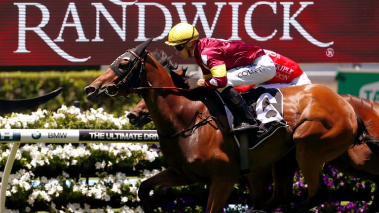 Autumn awaits: Aqua D'Ivina will stretch out to 1800 metres  at Randwick on Saturday.