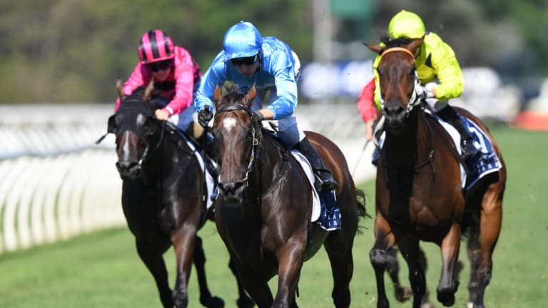 Back at the Farm: Racing returns to Warwick Farm with an interesting seven-race card.