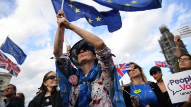Remain supporters ramped up their protests at Westminster this week.