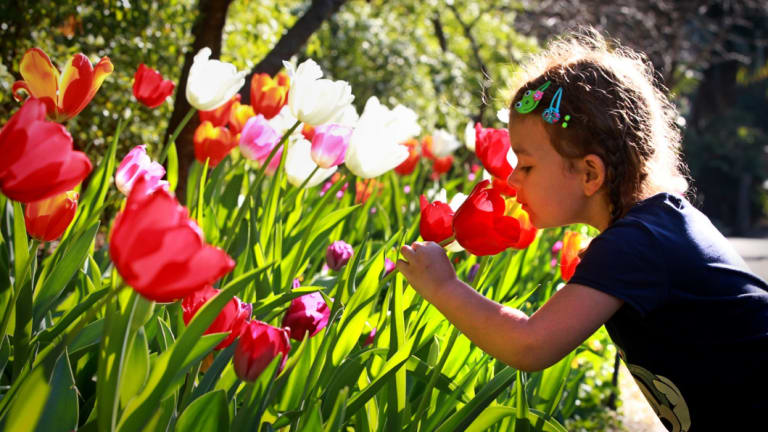 Melbourne, get set for a warm spring and early summer
