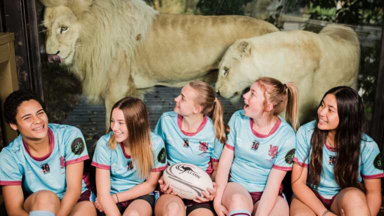 Wests started a junior girls 'Lionesses' program last year,