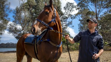 Canberra trainer Matt Dale says Fell Swoop will get the perfect conditions for his fourth TJ Smith Stakes. The only problem is they suit the world's best sprinters as well.