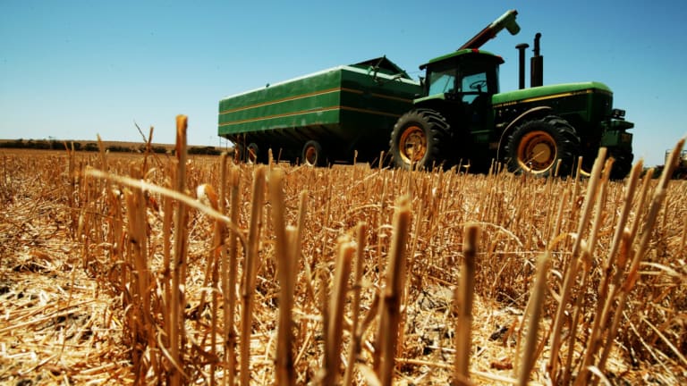 Lower wheat production will reduce Australia's wheat export capacity.