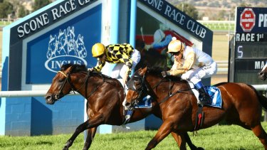 It's an eight-race card in the horse capital of Australia on Monday.