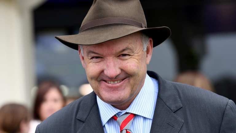 High expectations: Trainer David Hayes has booked Ryan Moore to ride Sikandarabad in the St Leger at Randwick on Saturday.
