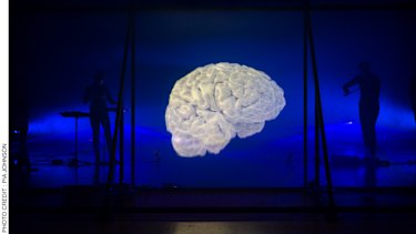 Chamber Made's Diaspora features what initially looks like bleached coral but evolves into a human brain.