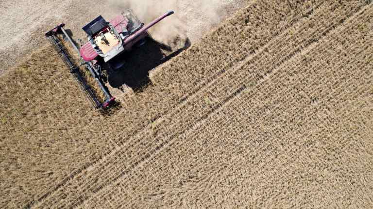 US soybean exports to China fell to zero in November on the back of the trade war between the two nations