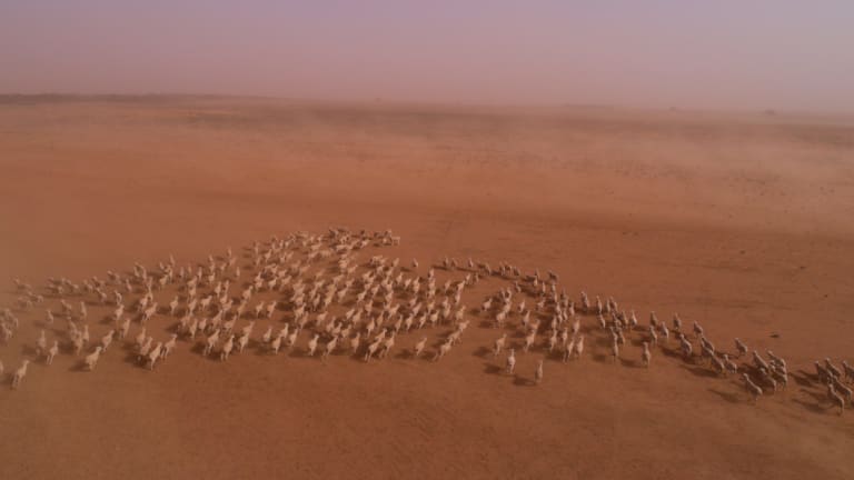 Dust storms sweep farms near Balranald in south west NSW as drought impacts the region.