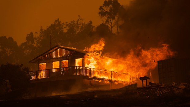 Bushfires have devastated the town of Mogo on the NSW south coast.