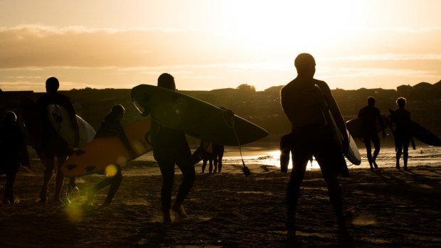 Surfers return to Bondi Beach for the first time in five weeks.