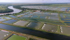 The Humpty Doo barramundi farm in the Northern Territory has received $31m from NAIF.
