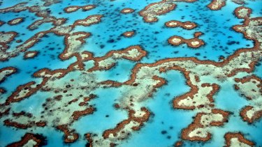 The Great Barrier Reef has lost more than half its coral in the past three decades.