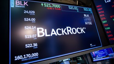 Investment giant BlackRock says the world is going to be a different one for investors when it emerges from the pandemic lockdowns.