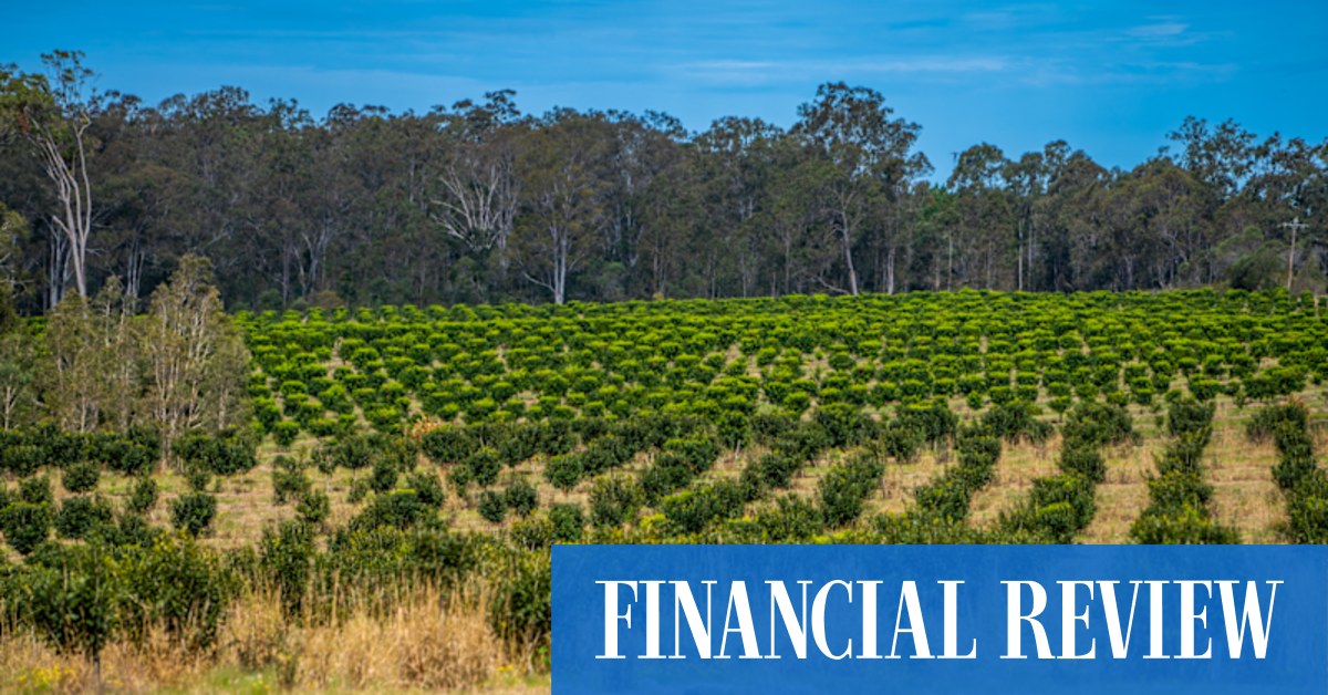 afr.com - Nick Lenaghan - Centuria bumps agricultural interests to $1.3b in latest deal