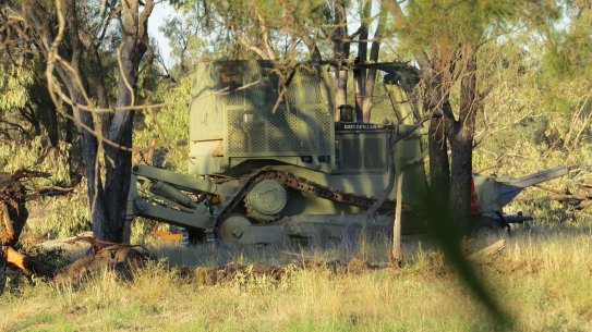 Despite stating there would be no amnesty for illegal land clearing, the Berejiklian government has dropped action against potentially hundreds of farmers.