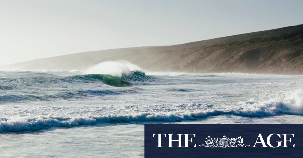 Yallingup Beach drowning: Perth father drowns at South West beach while trying to save sons - Vimarsana News