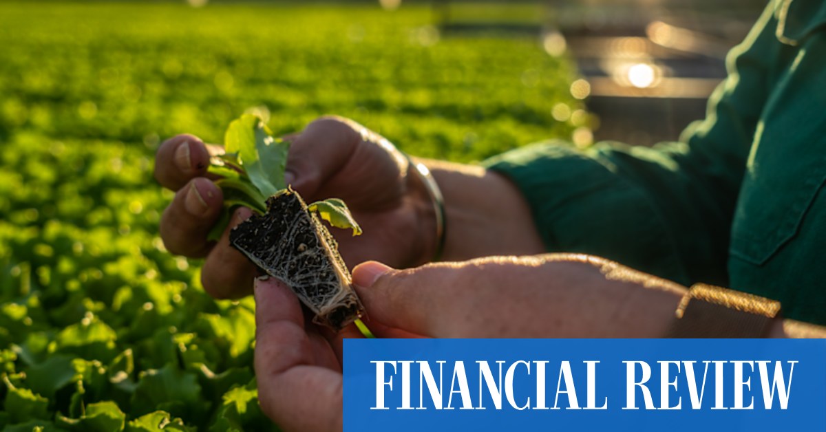 Hong Kong PE firm takes charge of Toowoomba seedling farm - Vimarsana News