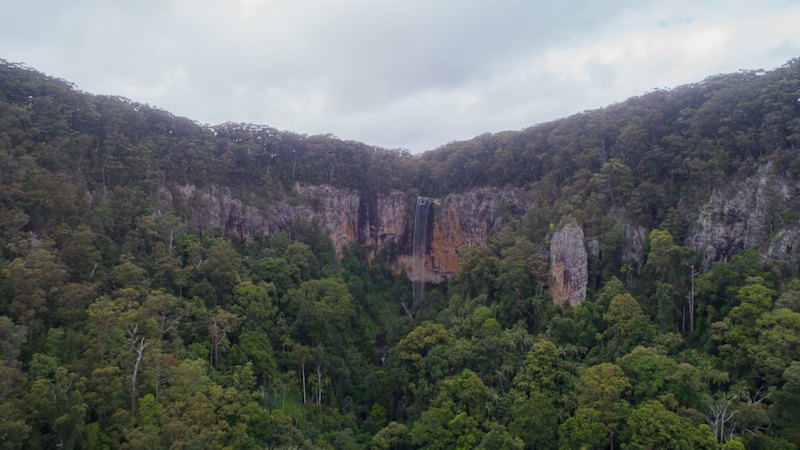Five students lost overnight in Springbrook National Park