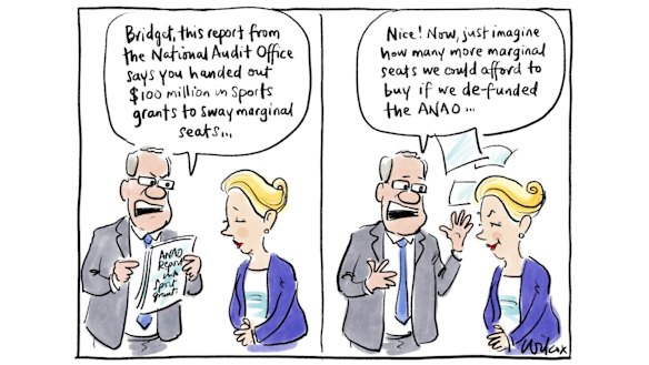 Illustration: Cathy Wilcox