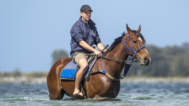 Canberra trainer Matthew Dale is buoyant about Fell Swoop's upcoming spring campaign.