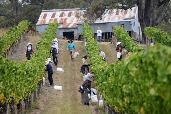 Bindi Wines in the Macedon Ranges.