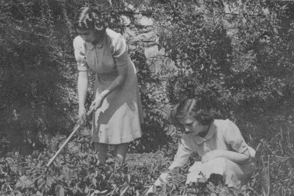The Princesses at work in their allotments, on the East Terrace at Windsor Castle.
