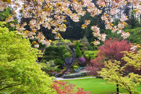 This five hectare ‘Sunken Gardens’ section of Canada’s Butchart Gardens, which began as a limestone quarry, was planted in nine years.