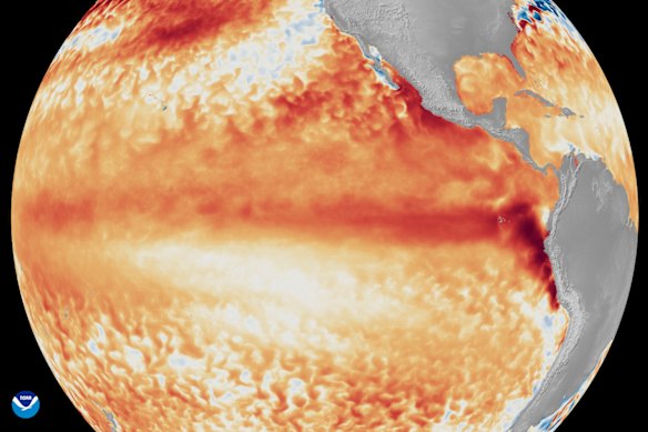 Satellite imagery showing the difference from average sea surface temperatures at the equator in the tropical Pacific Ocean during the first week of June 2026, as compared with the baseline used by NOAA’s Coral Reef Watch.