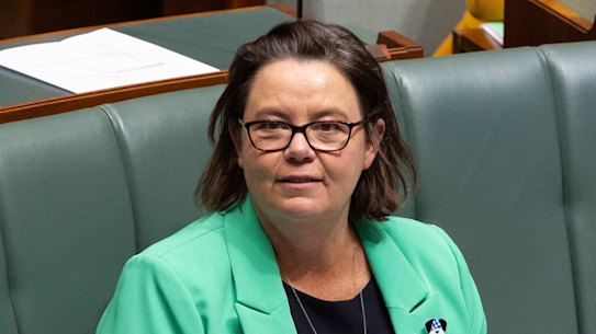 Resources Minister Madeleine King says gas companies making billions of dollars in profits must pay for development of CCS technology. 