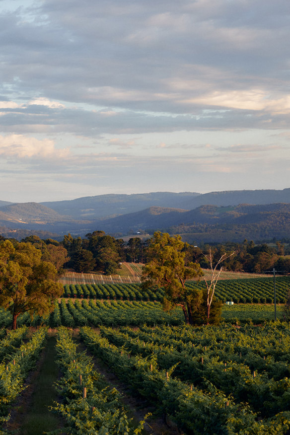 Top-ranking Yarra Yering is known for its cabernet and shiraz varietals and blends, but especially its Dry Red Wine No. 1.