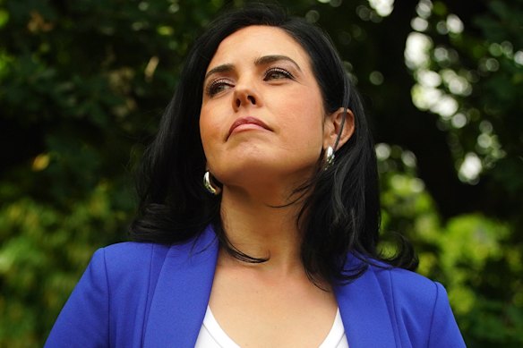 Lib MPs vent ire over damage to party after Deeming takes legal action
