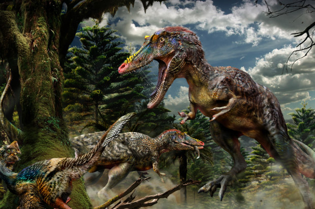 China's long-snouted tyrannosaur Qianzhousaurus, nicknamed Pinocchio Rex.