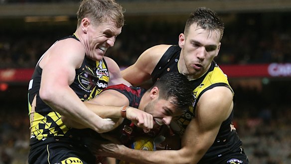 Josh Caddy of the Tigers wins a free kick.