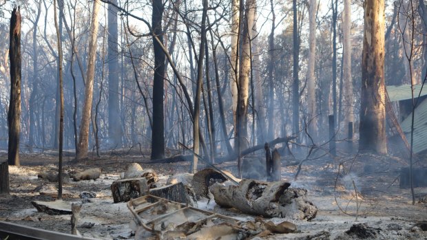 The aftermath of the Cooroibah bushfire that threatened homes on Queensland's Sunshine Coast.