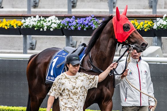 Ka Ying Rising before his trial at Randwick on Tuesday.