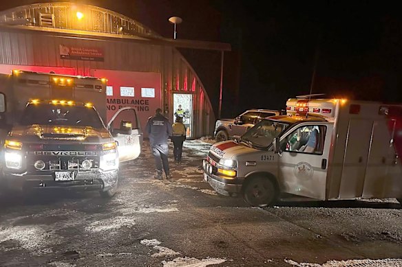 Teachers tried desperately to drive the grizzly away from the pupils. Eleven people were hurt.