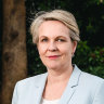 The three things stopping Tanya Plibersek from protecting native forests