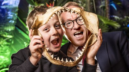 Sharks! Sydney’s upcoming summer blockbusters will tear you off the couch