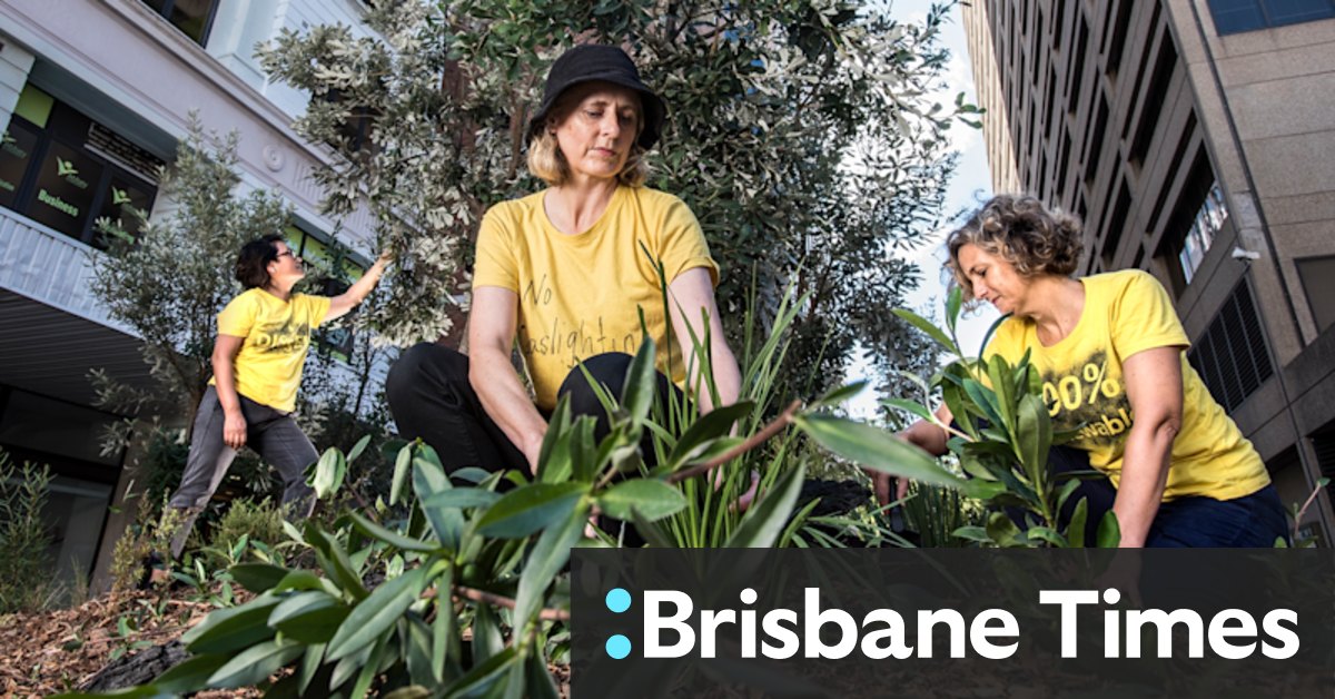 Micro forest established in Sydney laneway - Vimarsana News