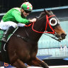 One Aye on cup and one on Big Dance for powerful training combination