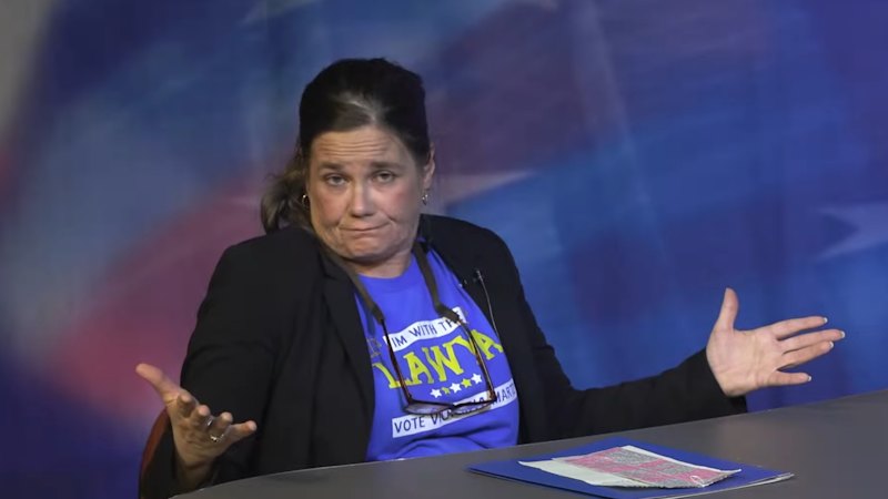 ‘We have guns too’: Democrat slurs her way through viral, car crash interview