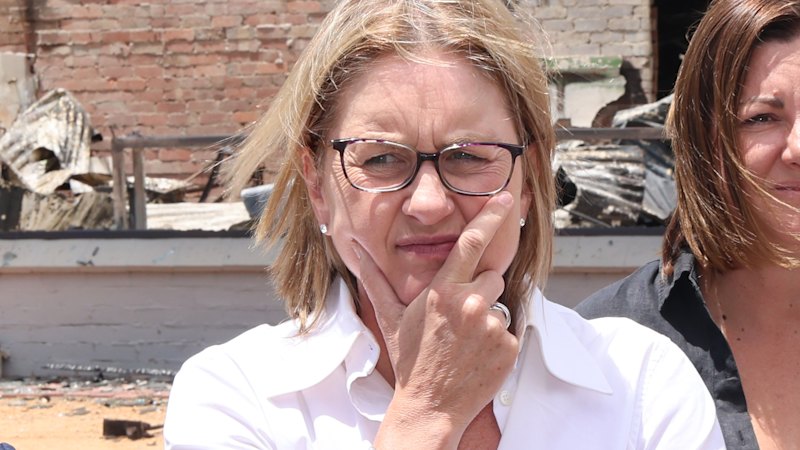 Jacinta Allan calls for calm as CFA says fireys ‘are hurting’