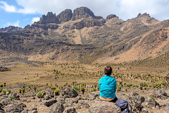 Mount Kenya suffers nothing from being of a lower elevation than Kilimanjaro. 