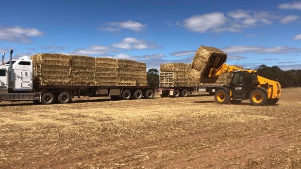 Up to 50 road trains are heading to north-west Queensland with fodder to help struggling farmers. Most are coming from South Australia and have been organised by Rural Aid.