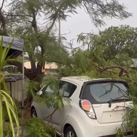 Minor damage was caused by falling trees.