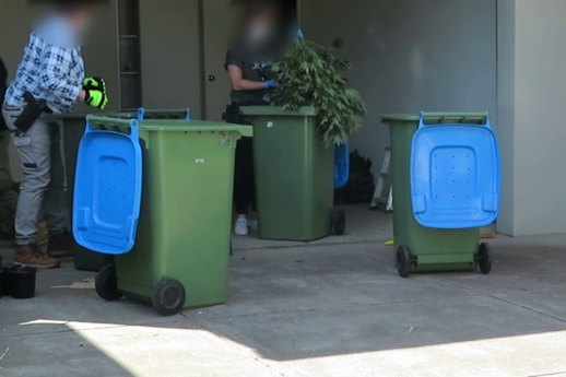 Police seize more than one tonne of cannabis in Melbourne’s west
