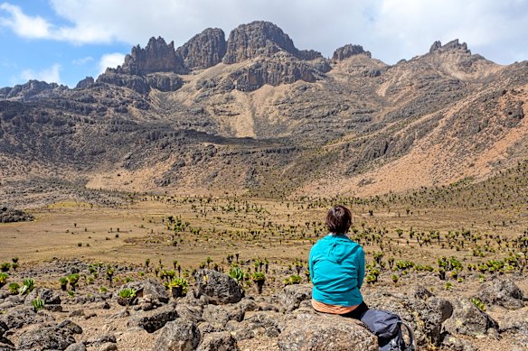 Mount Kenya suffers nothing from being of a lower elevation than Kilimanjaro.
