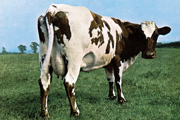 The cover art for the Pink Floyd album Atom Heart Mother.