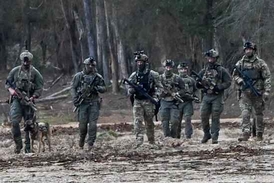 Police searching a plantation at Porepunkah during the manhunt for Dezi Freeman.